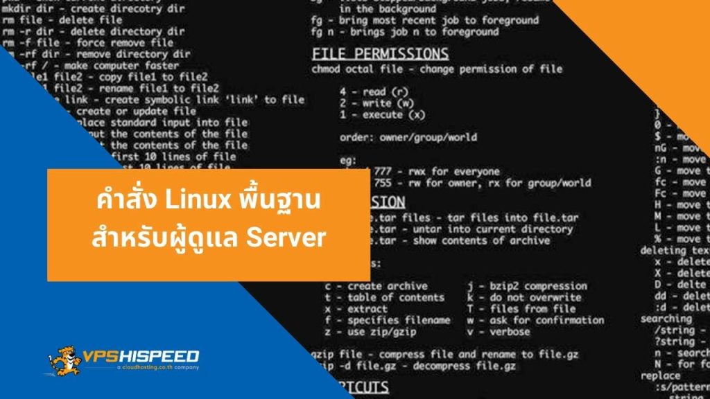 คำสั่ง Linux พื้นฐานสำหรับผู้ดูแล Server