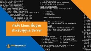 คำสั่ง Linux พื้นฐานสำหรับผู้ดูแล Server