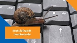 เว็บโหลดช้า