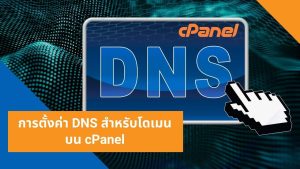 การตั้งค่า DNS สำหรับโดเมนบน cPanel