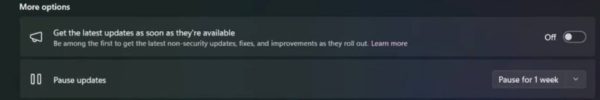 Pause updates