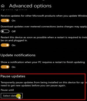 Pause updates_10