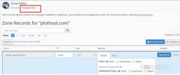 Zone Editor หรือ DNS Manager